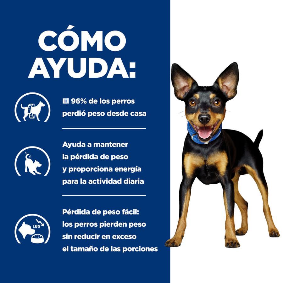 6 kg Hill's Prescription Diet Metabolic Mini Weight Loss ra&ccedil;&atilde;o para c&atilde;es, , large Imagem n&uacute;mero 4